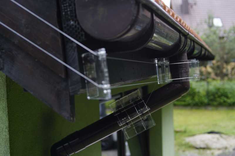 ochrona przed kunami