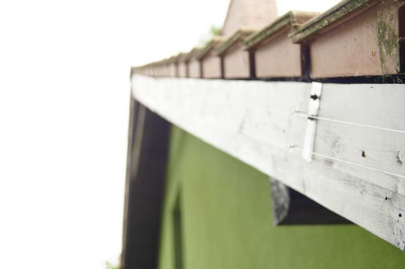 ochrona przed kunami