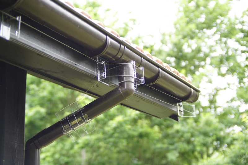 odstraszacz na kuny